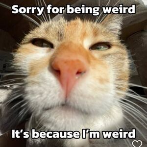 Meet your Posher, Colin